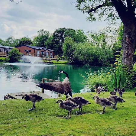 Hot Tub - York - Fishing Lakes - Free Parking - 5 Star Country Park - 5 Holiday home Little Habton
