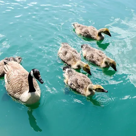 Hot Tub - York - Fishing Lakes - Free Parking - 5 Star Country Park - 5